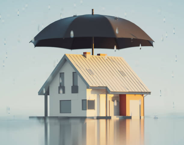 Home with a protective shield
